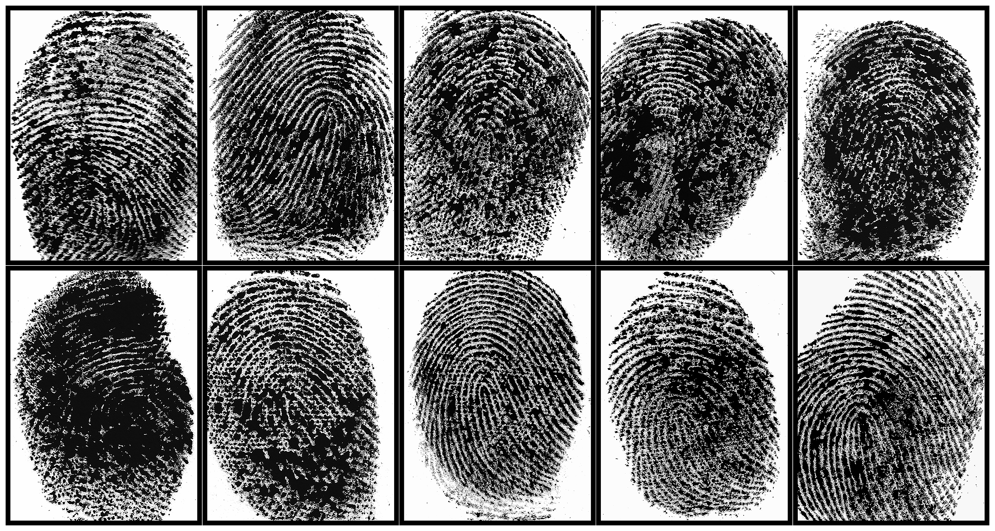 "Ten Clues in Search of a Motive" (2021)