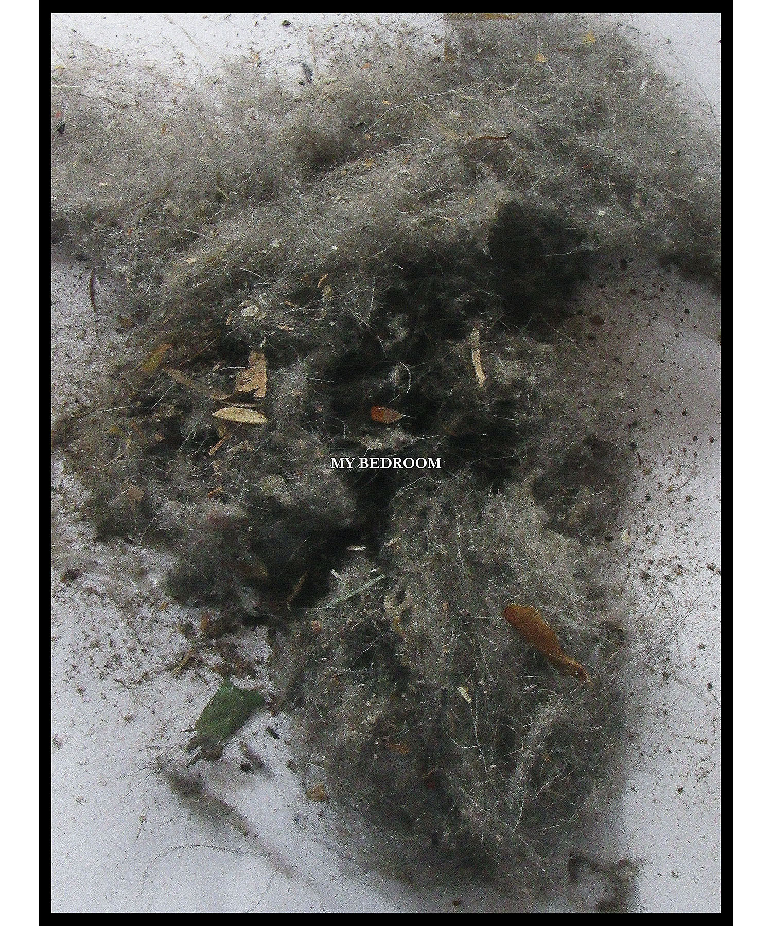 "April 5, 2015 (My Bedroom)" (2015)